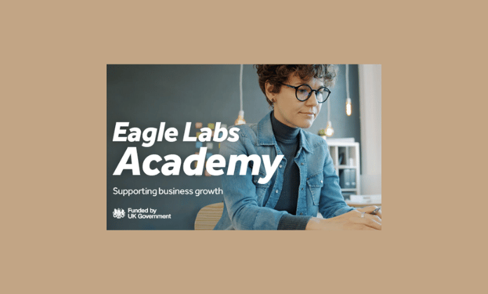 Get yourself a mentor from Eagle Labs