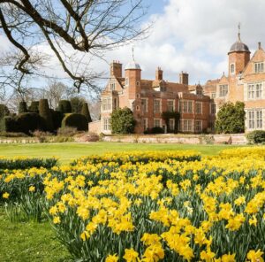 Kentwell Hall surrounded by daffodils.