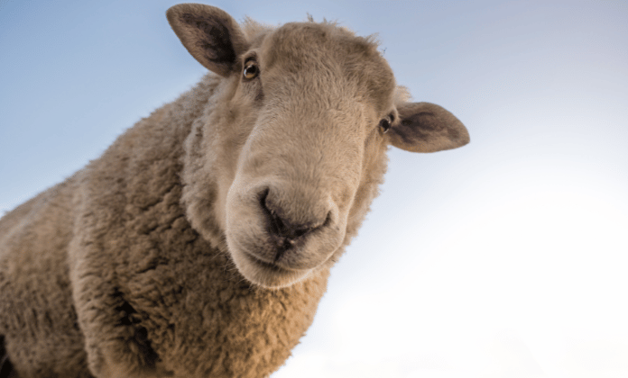 Farming Fund Reopens