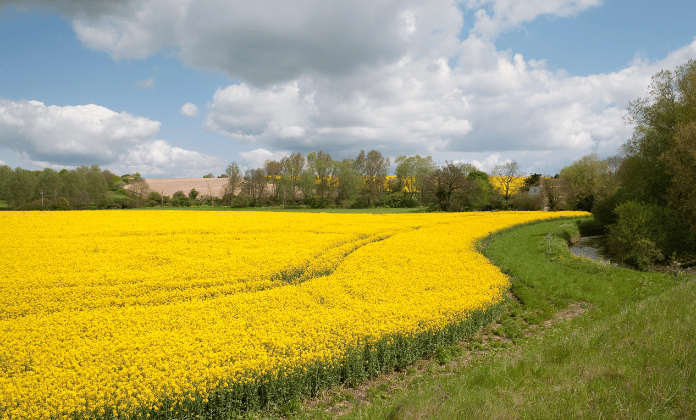 Funding to help farmers