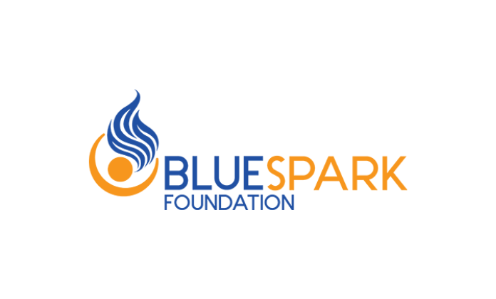 Blue Spark Foundation Grants